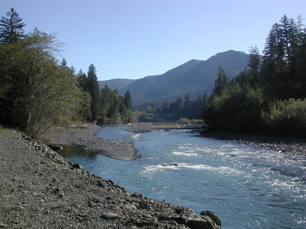 Hoh River, Hoh Rain Forest