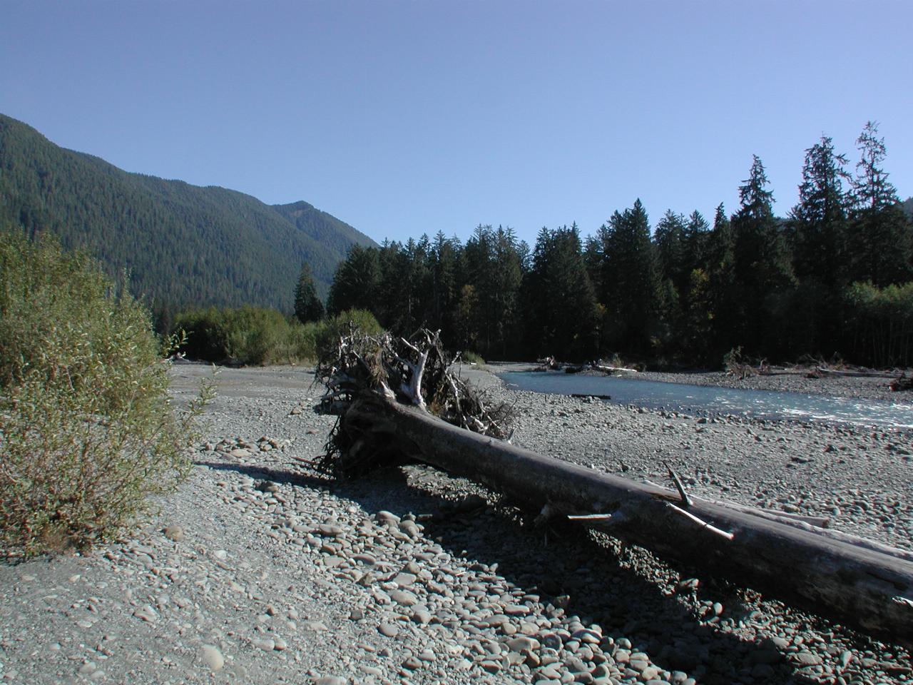 Hoh River, near the Visitor Centre