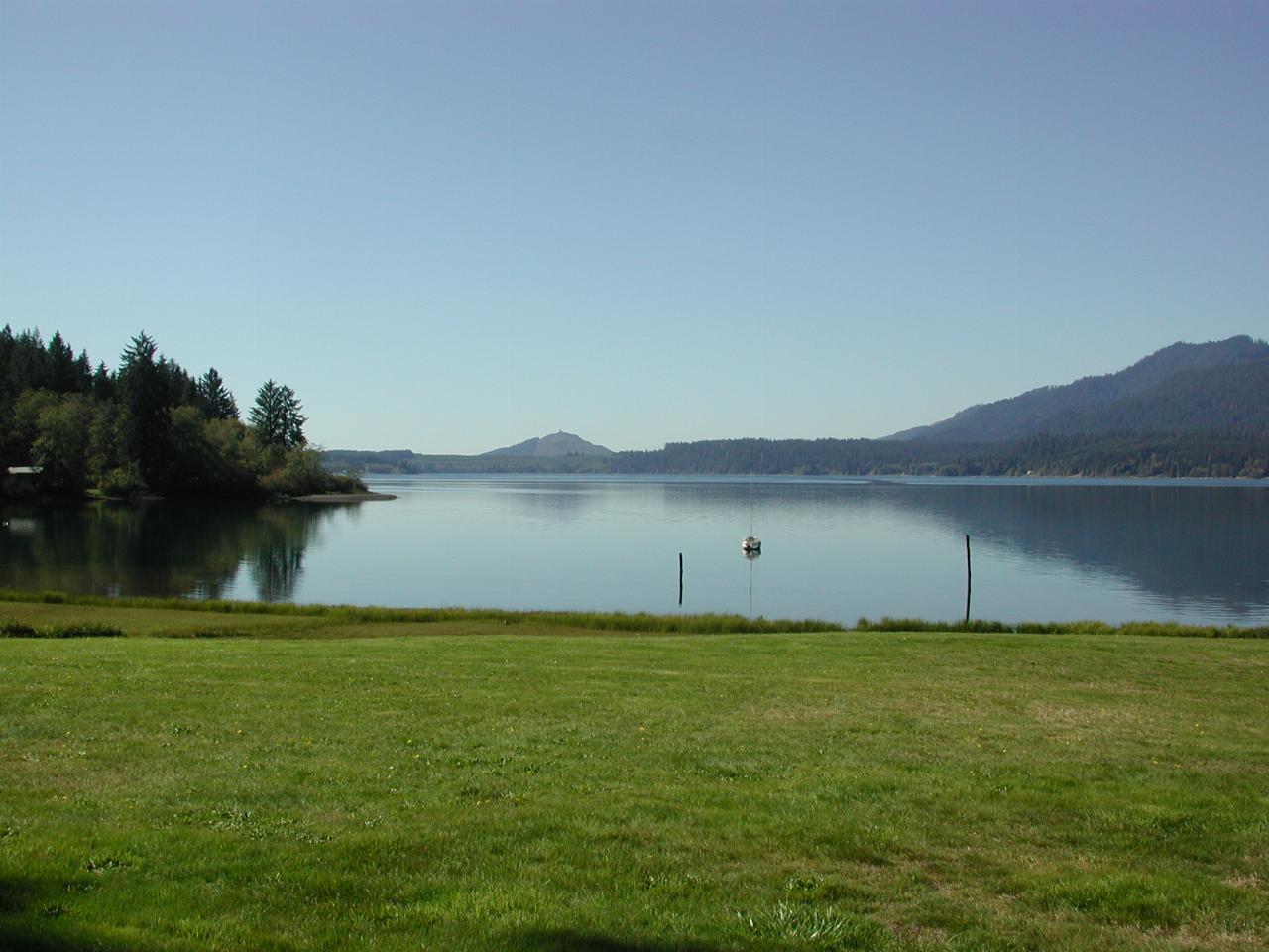 Lake Quinault, south end of Olympic National Park