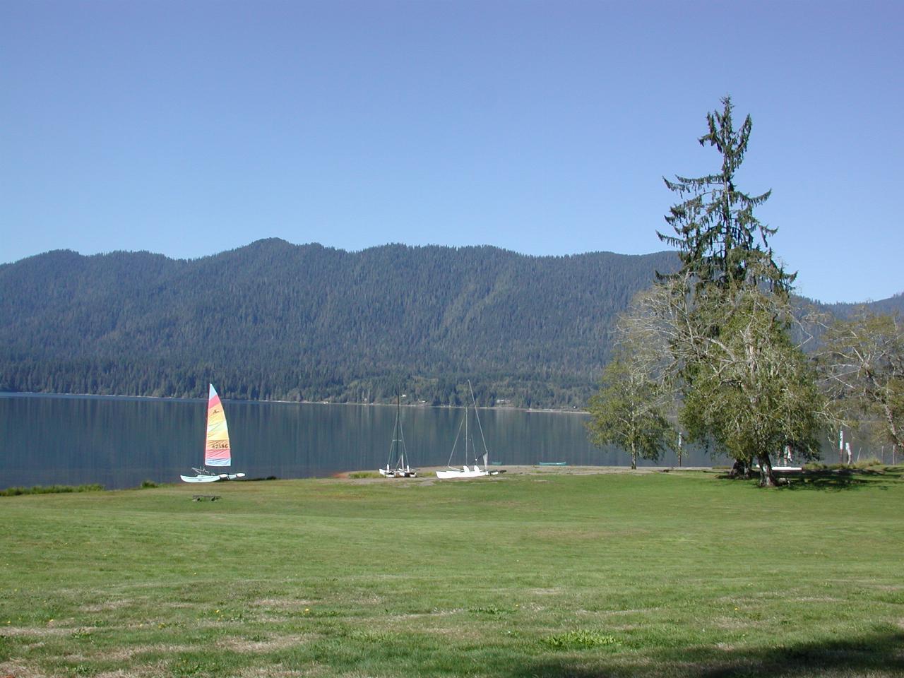 Lake Quinault, south end of Olympic National Park