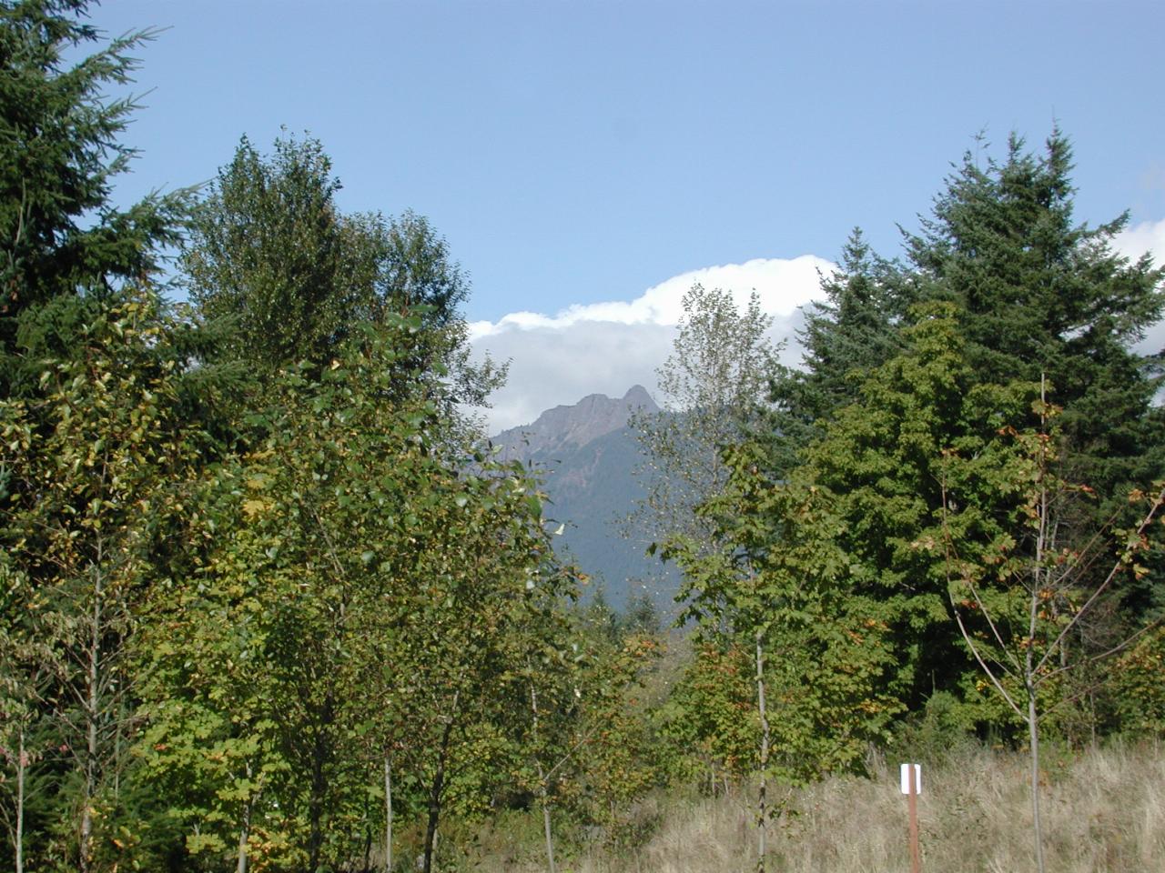 Possibly Mt Si,  from Rattlesnake Lake