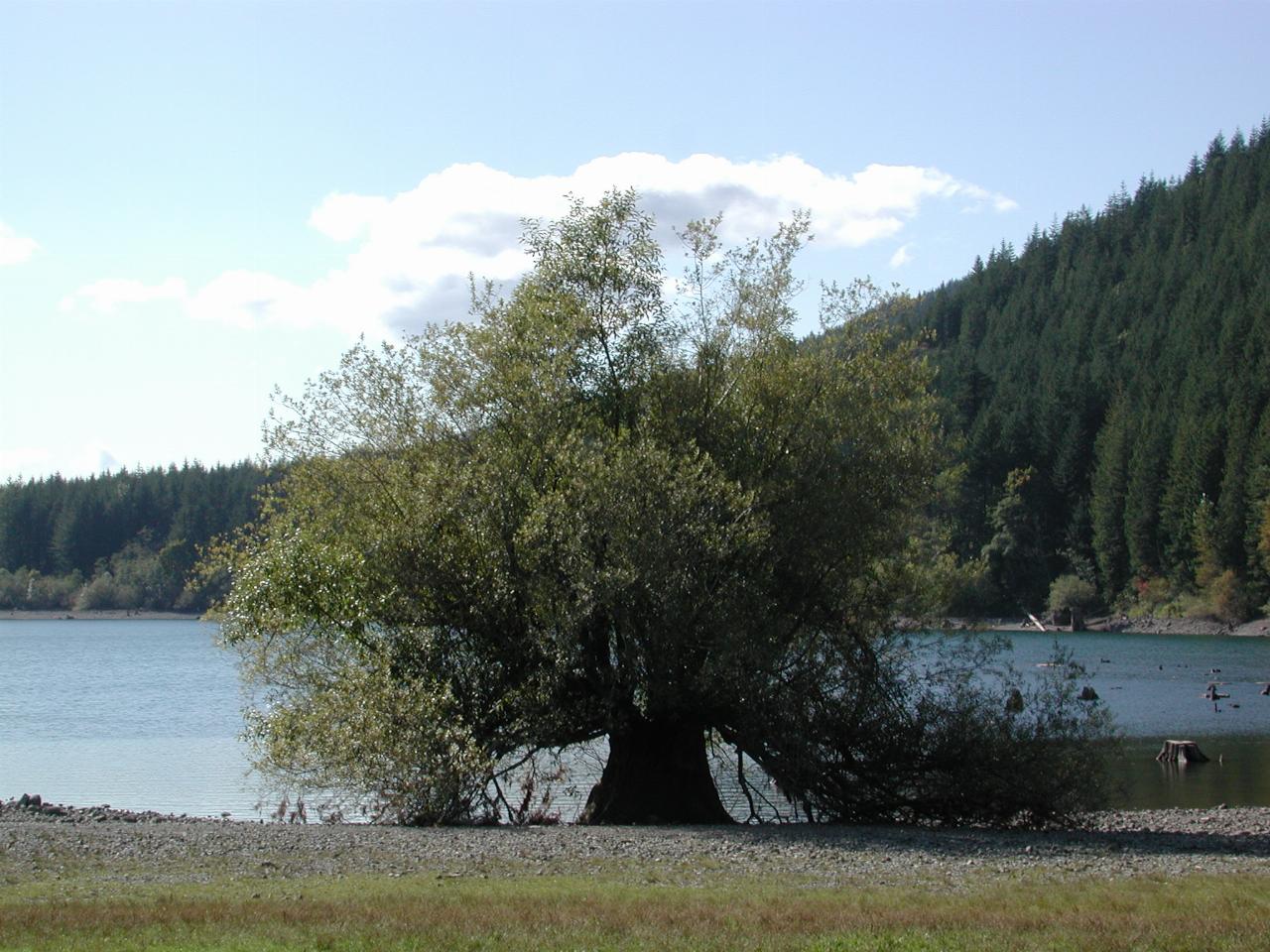 Rattlesnake Lake