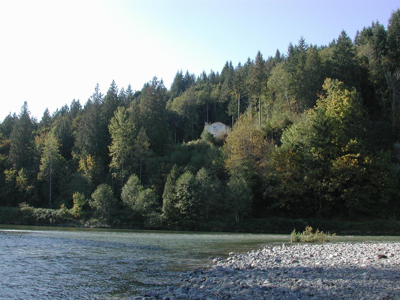 Tolt River, near junction with Snoqualmie near Carnation, WA