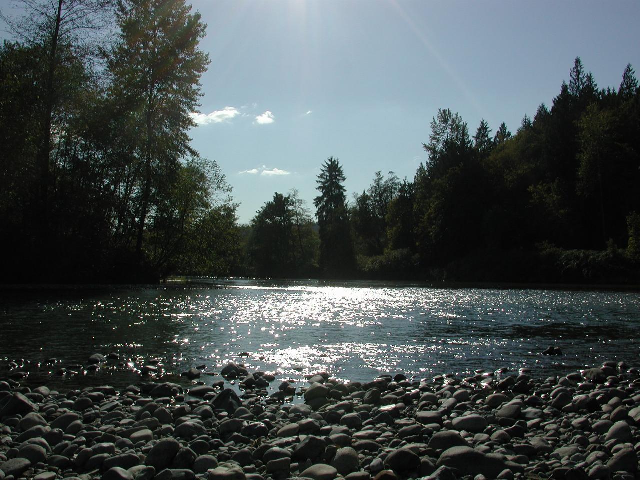 Tolt River (left) joining Snoqualmie