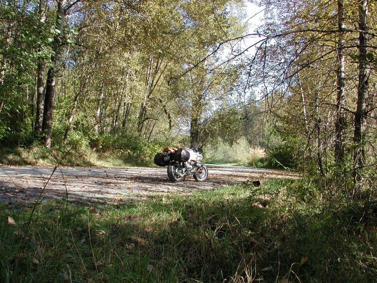 Bike among Autumn leaves at junction Tolt and Snoqualmie Rivers