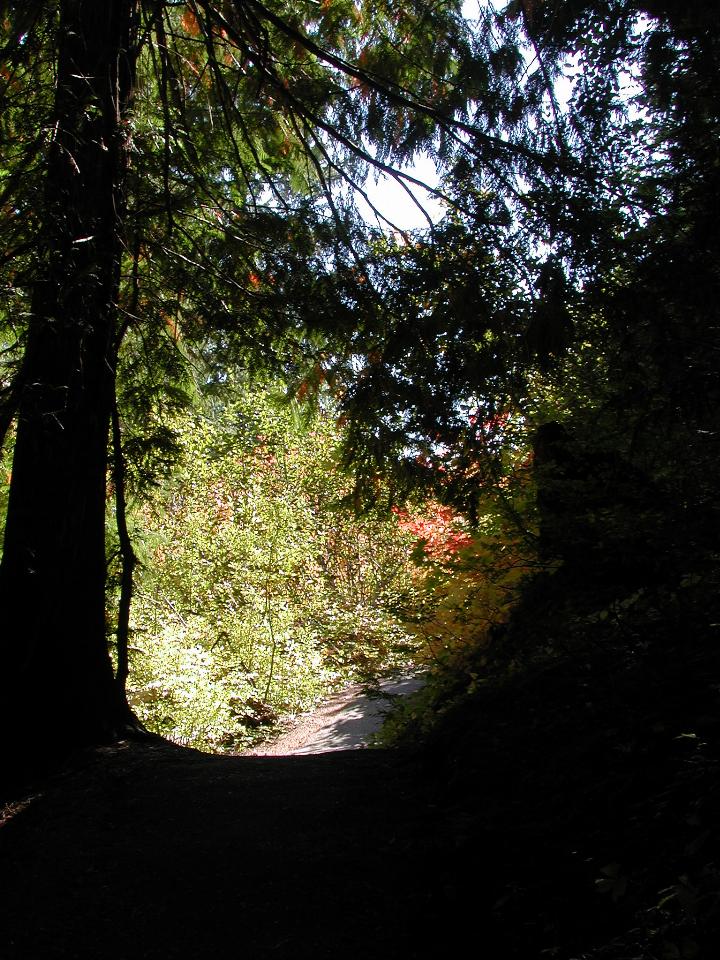 Box Canyon at head of Cowlitz River, Mt. Rainier National Park