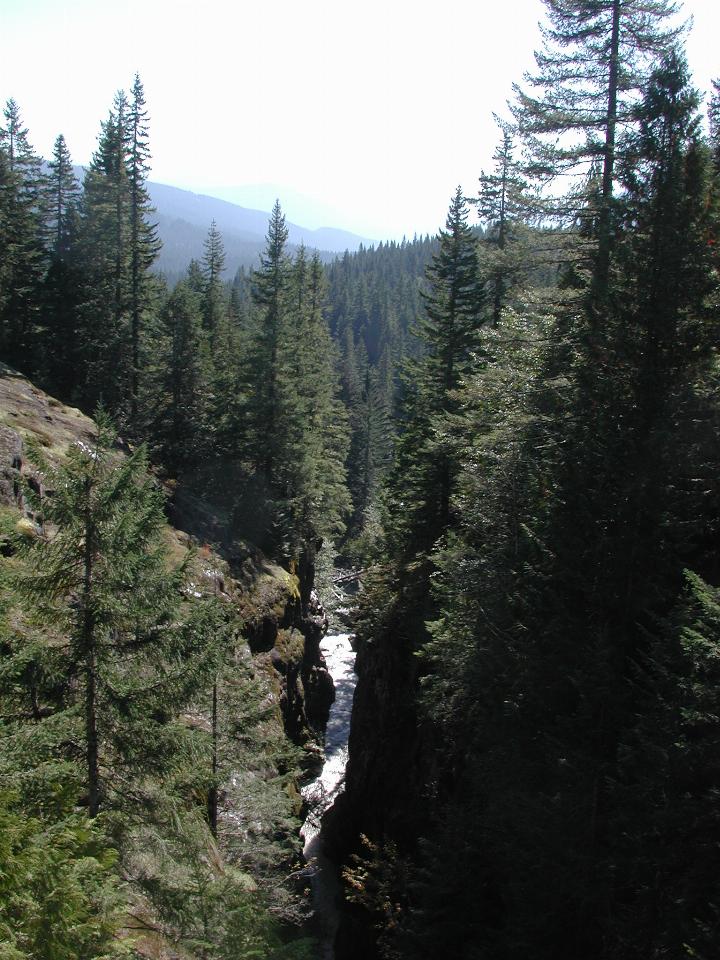 Box Canyon at head of Cowlitz River, Mt. Rainier National Park