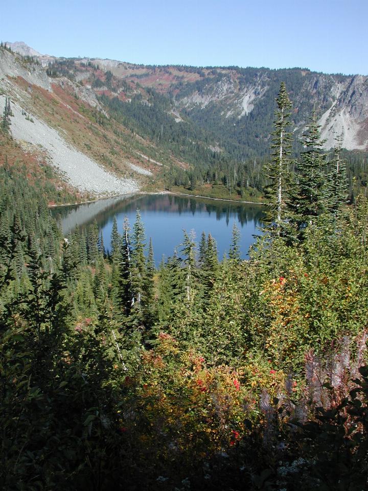 Approaching Paradise, Mt. Rainier National Park