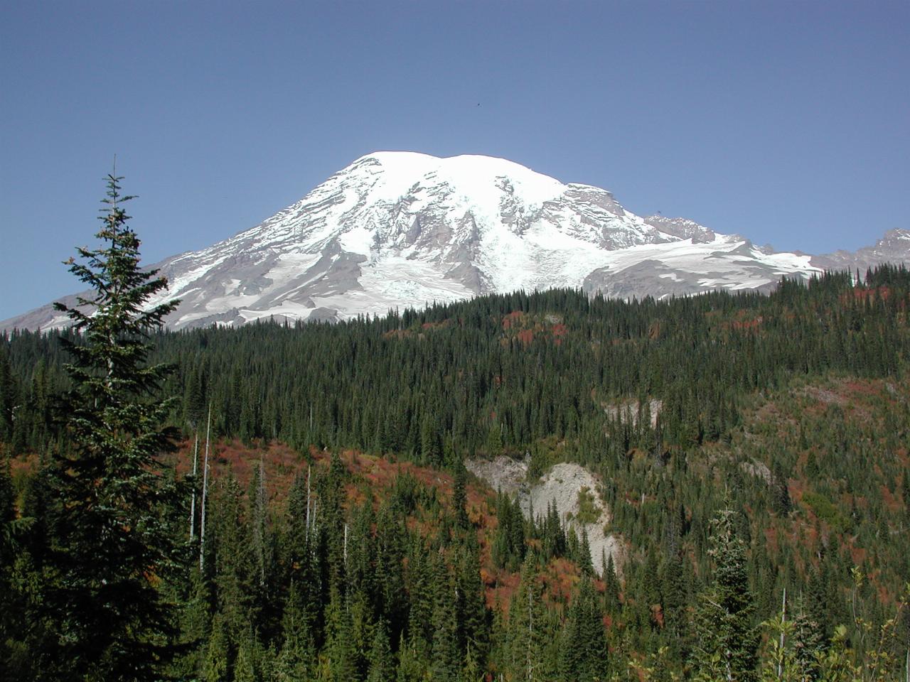 Approaching Paradise, Mt. Rainier National Park