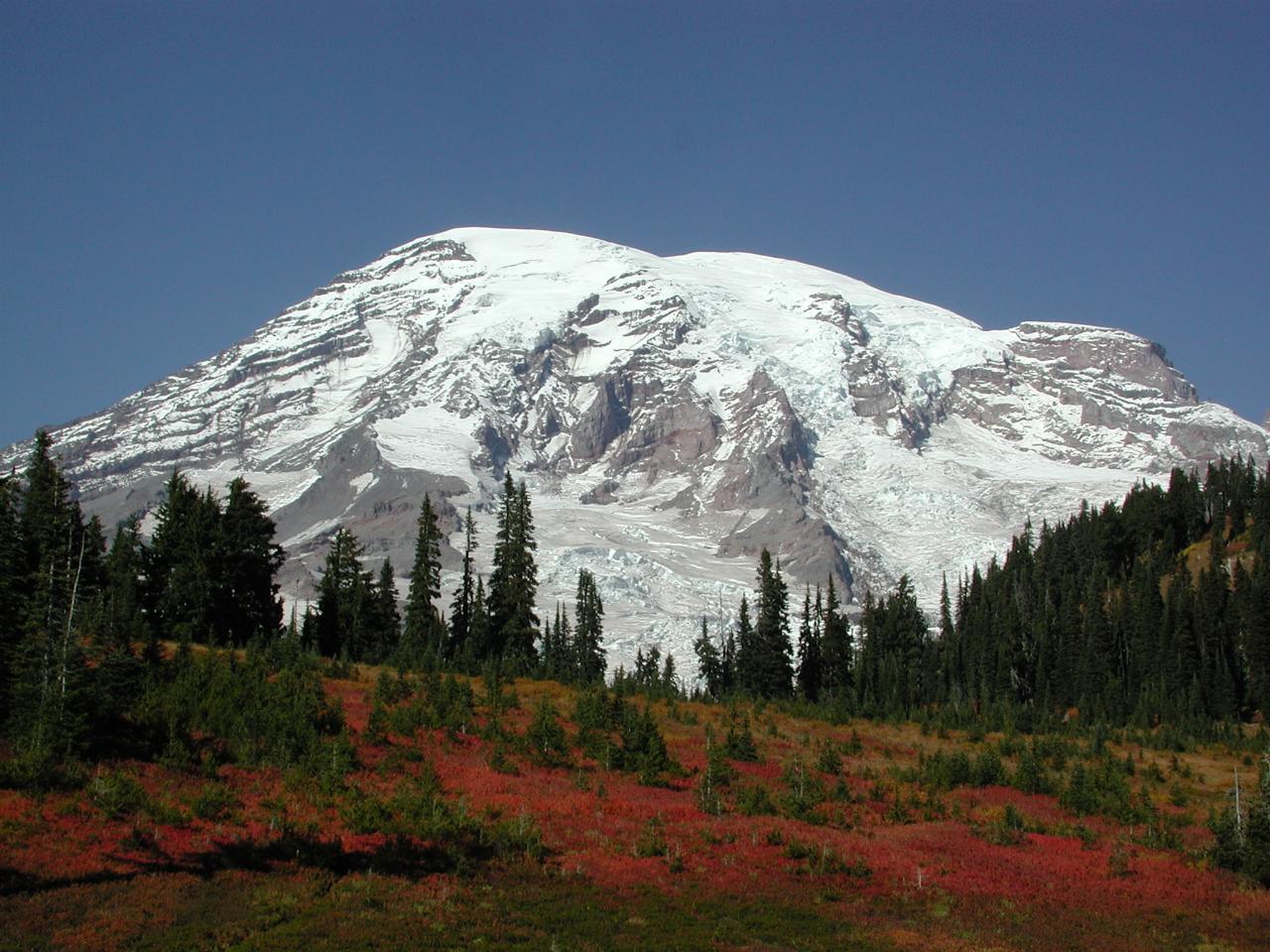 Paradise Visitor Centre, Mt. Rainier National Park