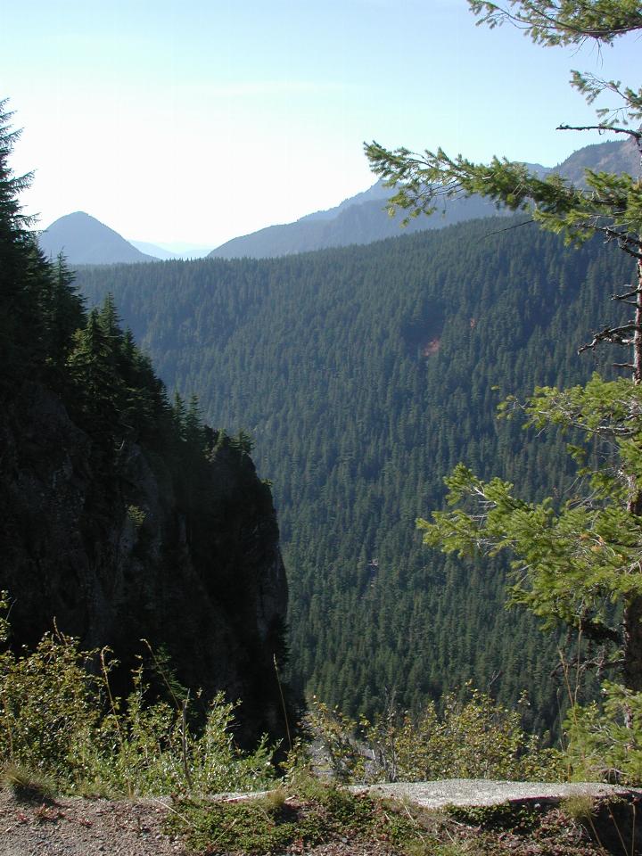 Nisqually River origins, Mt. Rainier National Park