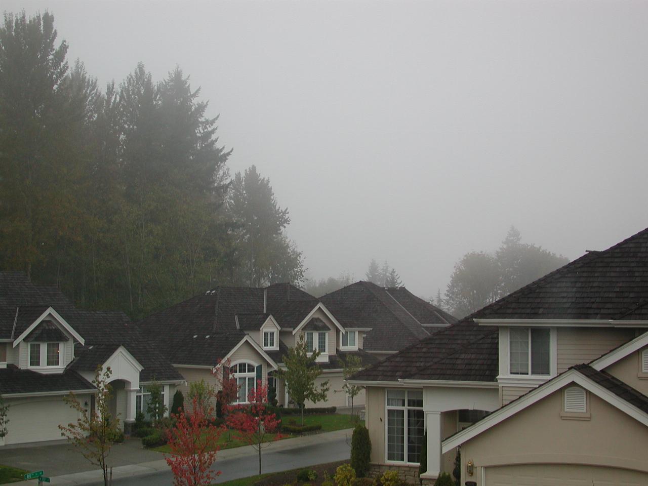 Autumn colours, home in Kenmore - autumn -> cloudy weather