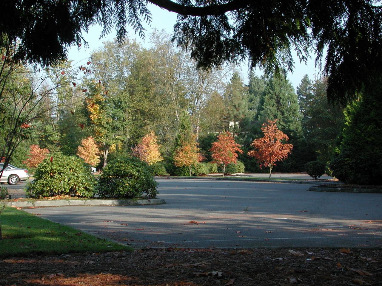 St John Vianny Catholic Church, Kirkland WA in autumn tones