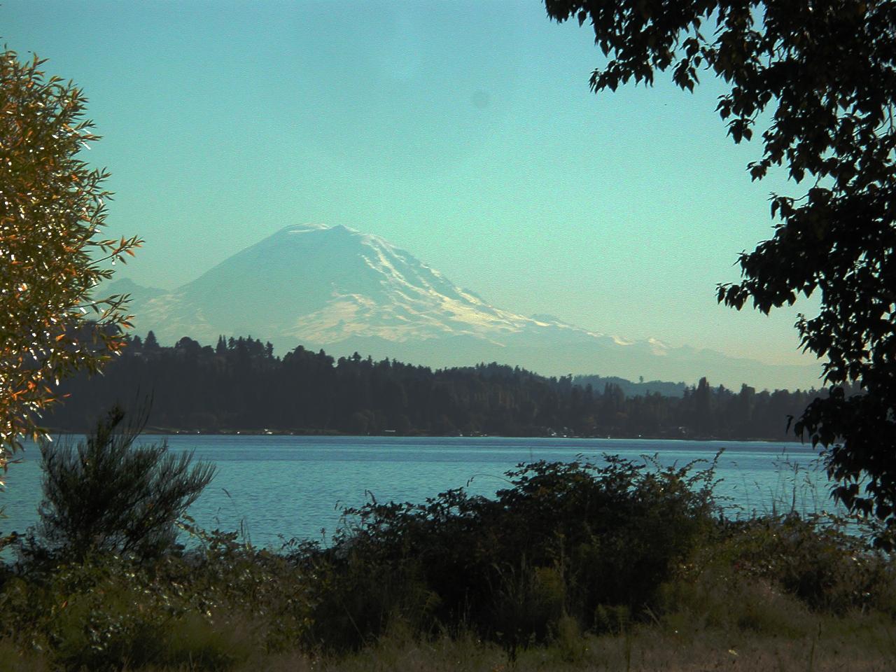 Scenes from Magnusson Park, showing Mt. Rainier