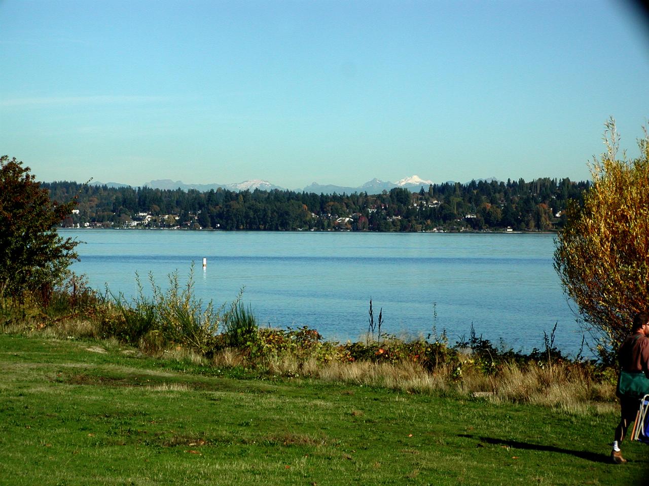 From Magnusson Park, towards northern Kirkland