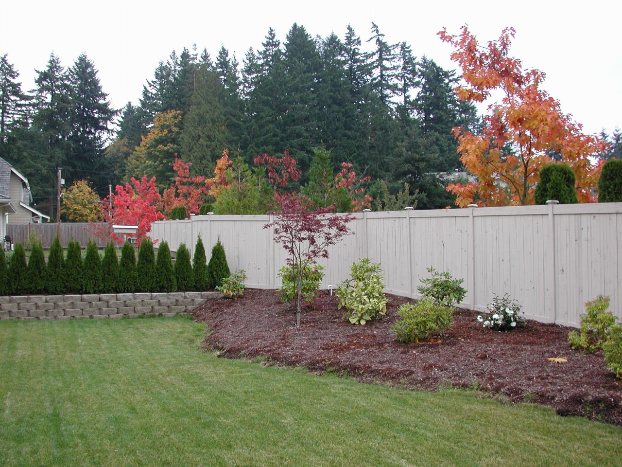 Looking east in the back yard - autumn colours everywhere