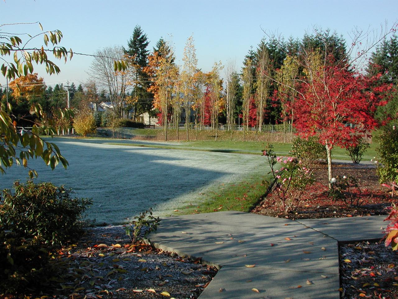 Autumn foliage in Saint John Vianney Church, Kirkland,  WA