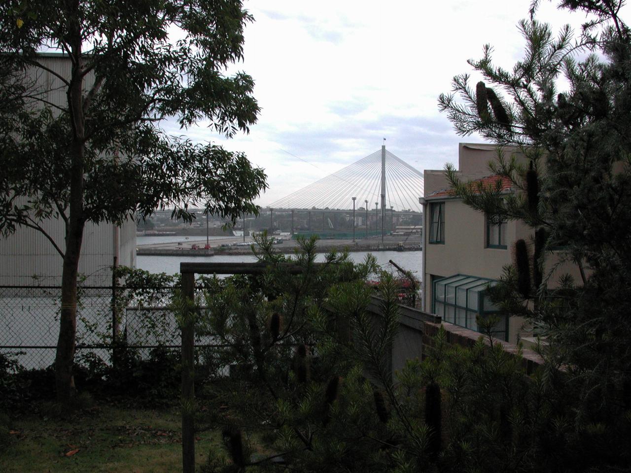 View of Anzac Bridge from Bob Marks' back yard (Balmain)