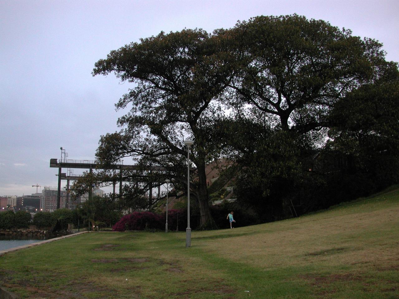 Balmain Views, walking to Darling Street Wharf