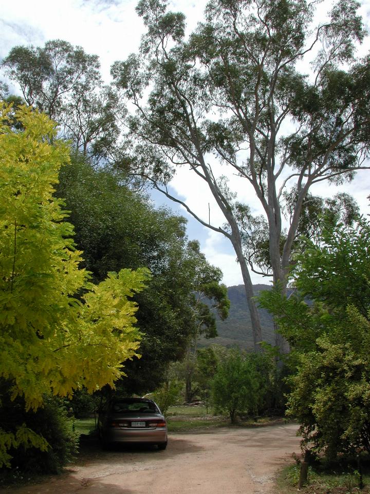 Megalong Valley Cafe where Enid & I had lunch.