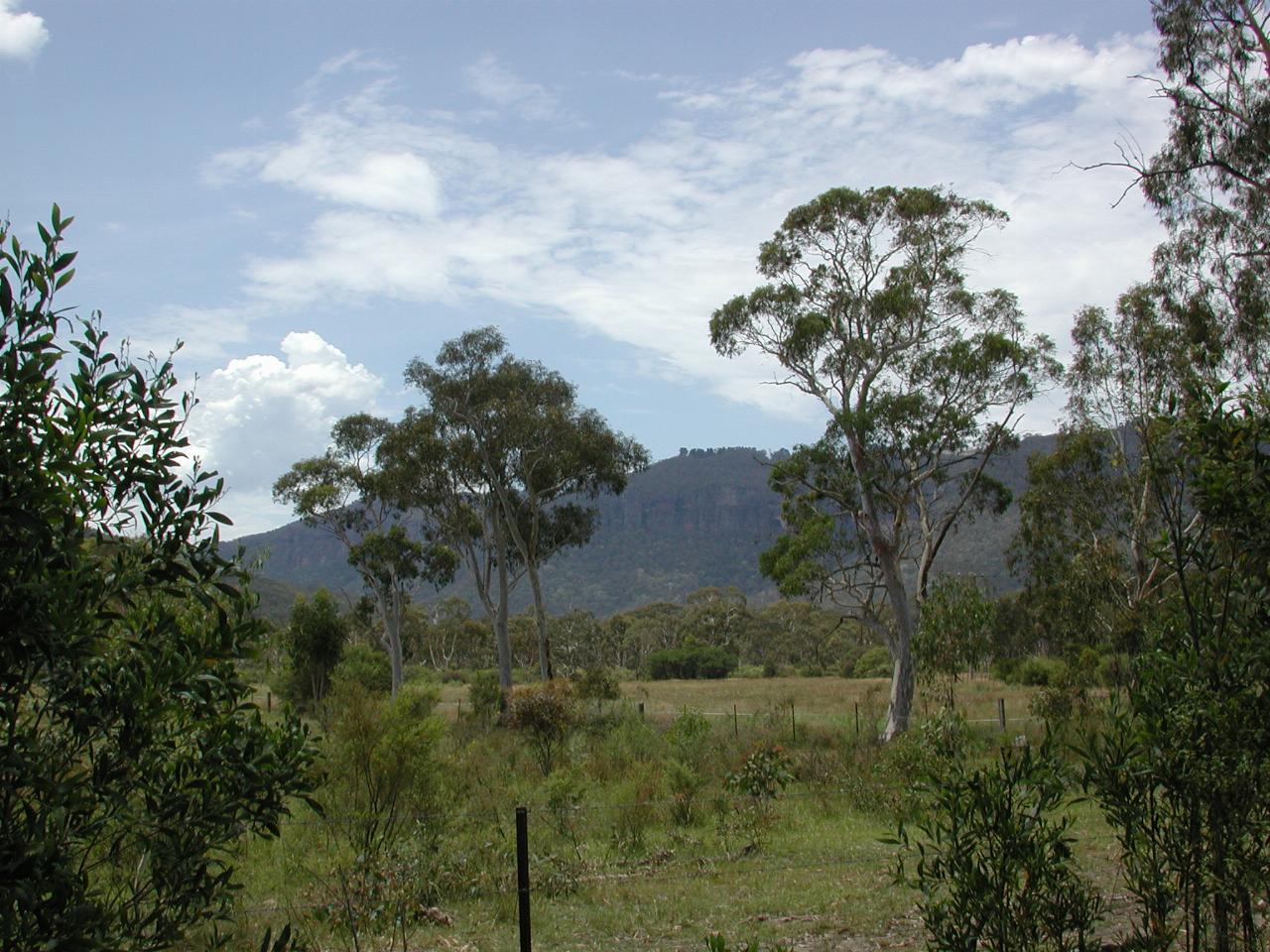 Megalong Valley Cafe where Enid & I had lunch.