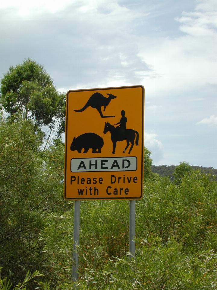 Assorted Megalong Valley views