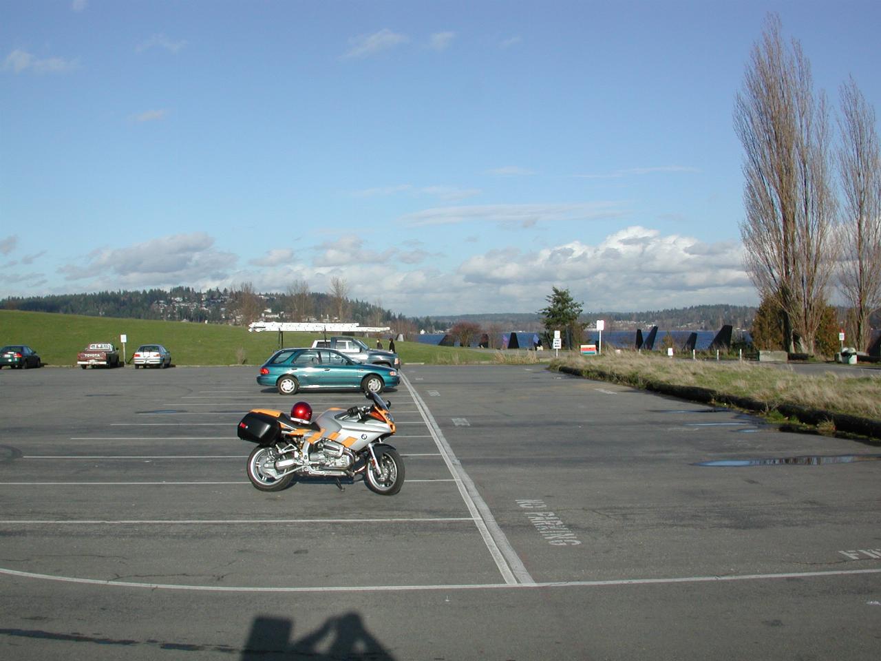 Magnusson Park, on a nice afternoon in January