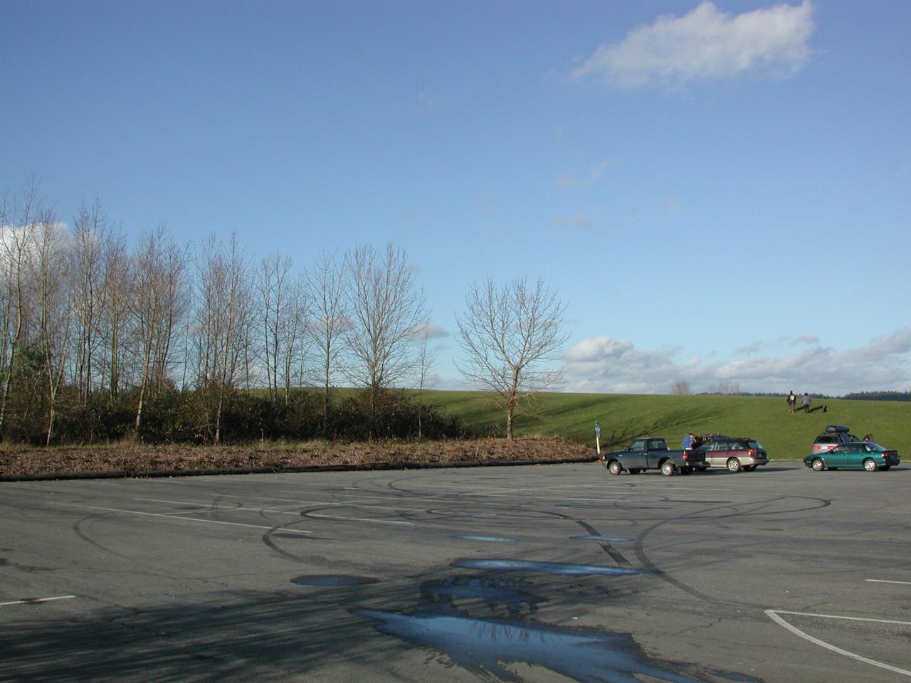 Magnusson Park, on a nice afternoon in January