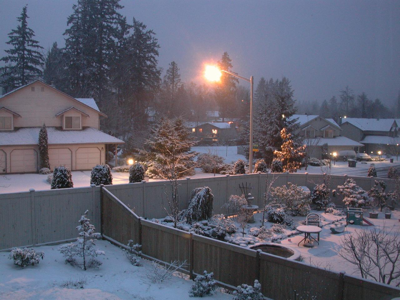 Looking out the back windows