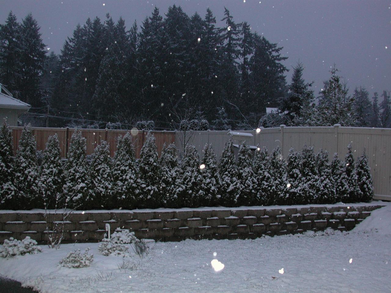 Attempting to photograph snow flakes, using the flash