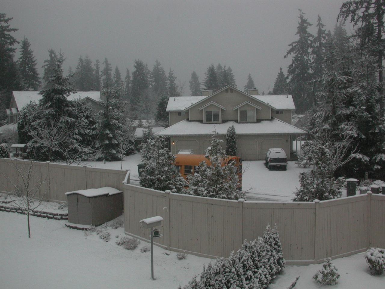 Views of the back yard area