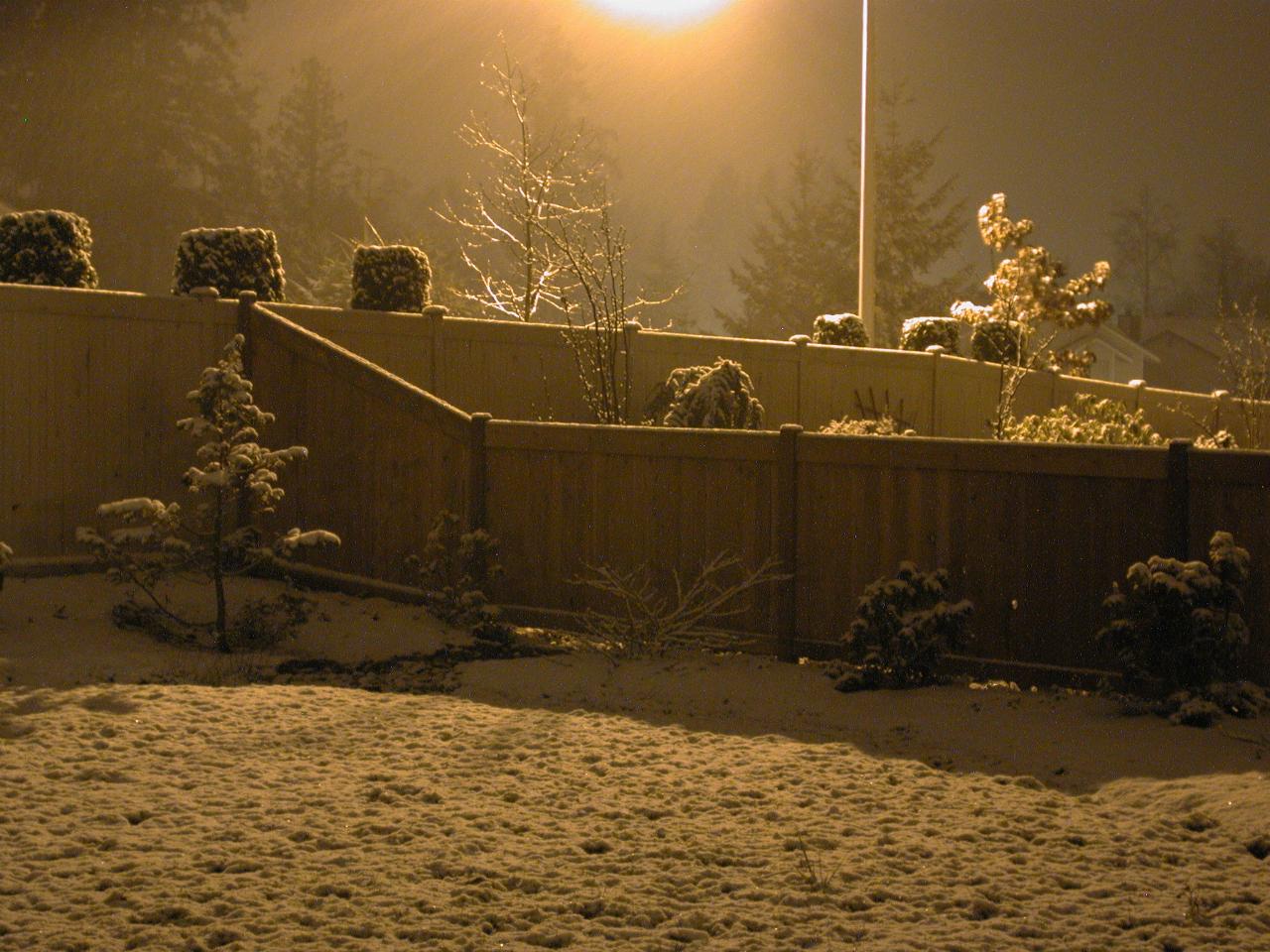 Start of the second snow fall for 2001 - back of house