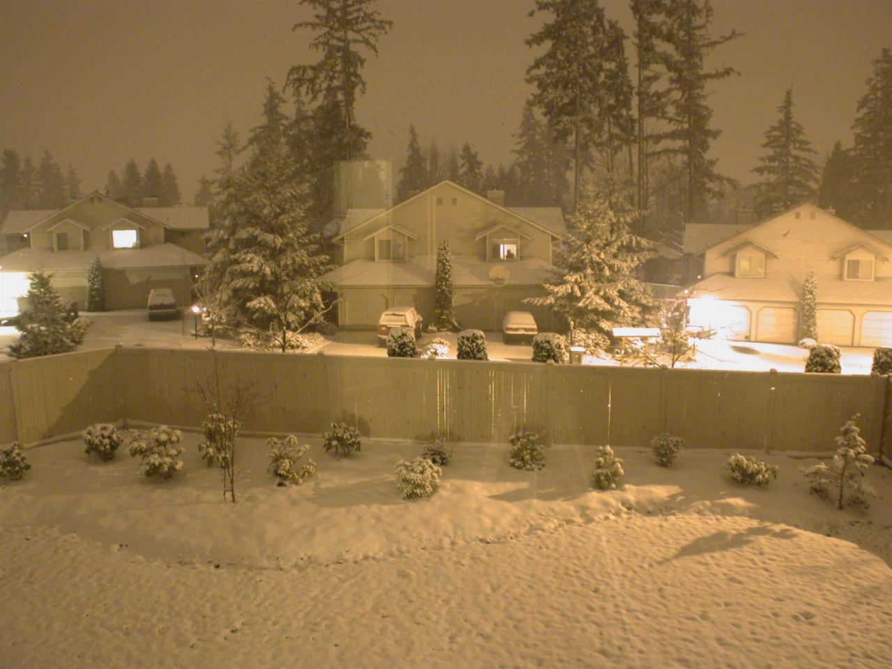 Start of the second snow fall for 2001 - back of house