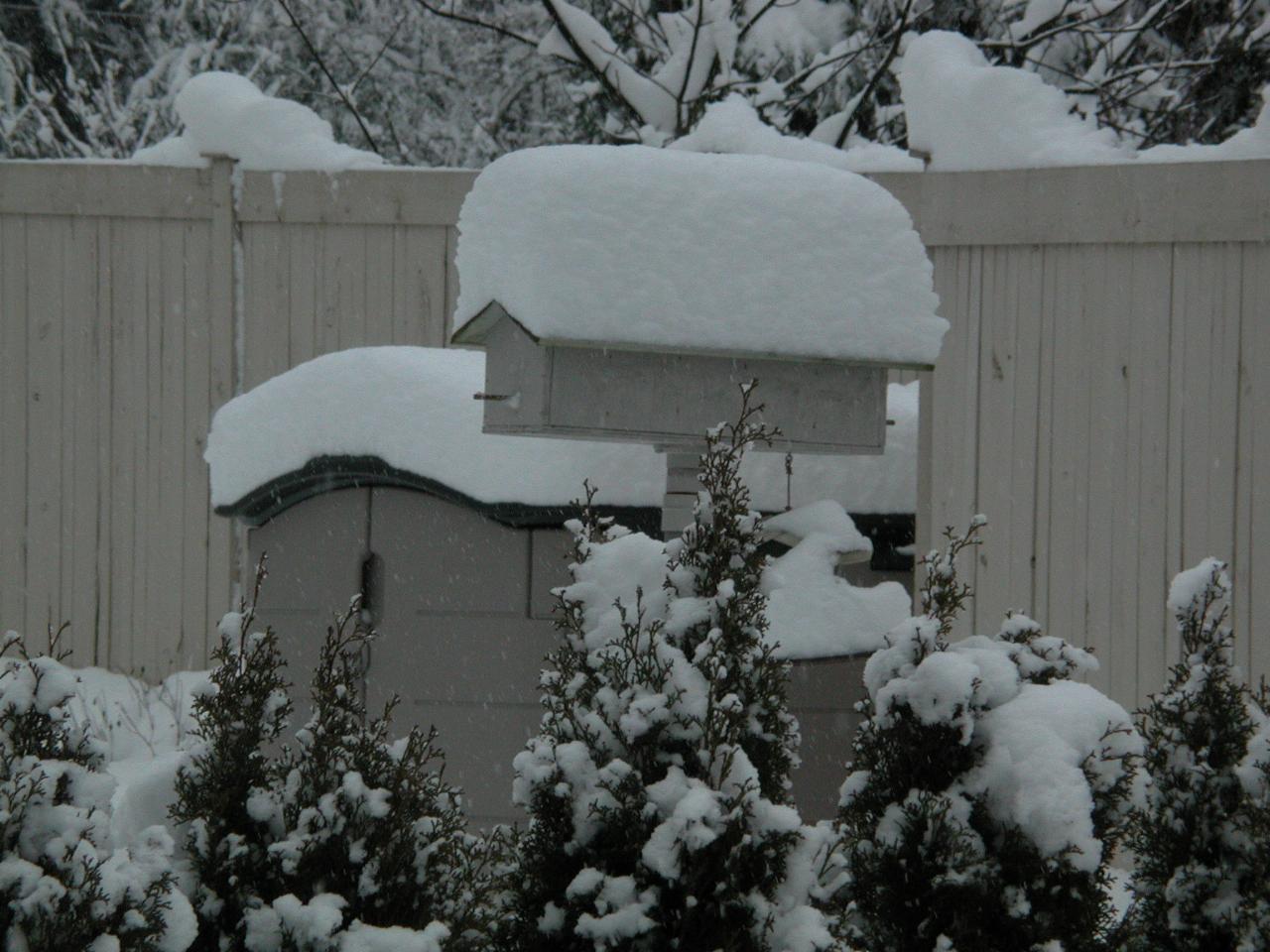 Snow on Denny's shed and bird house