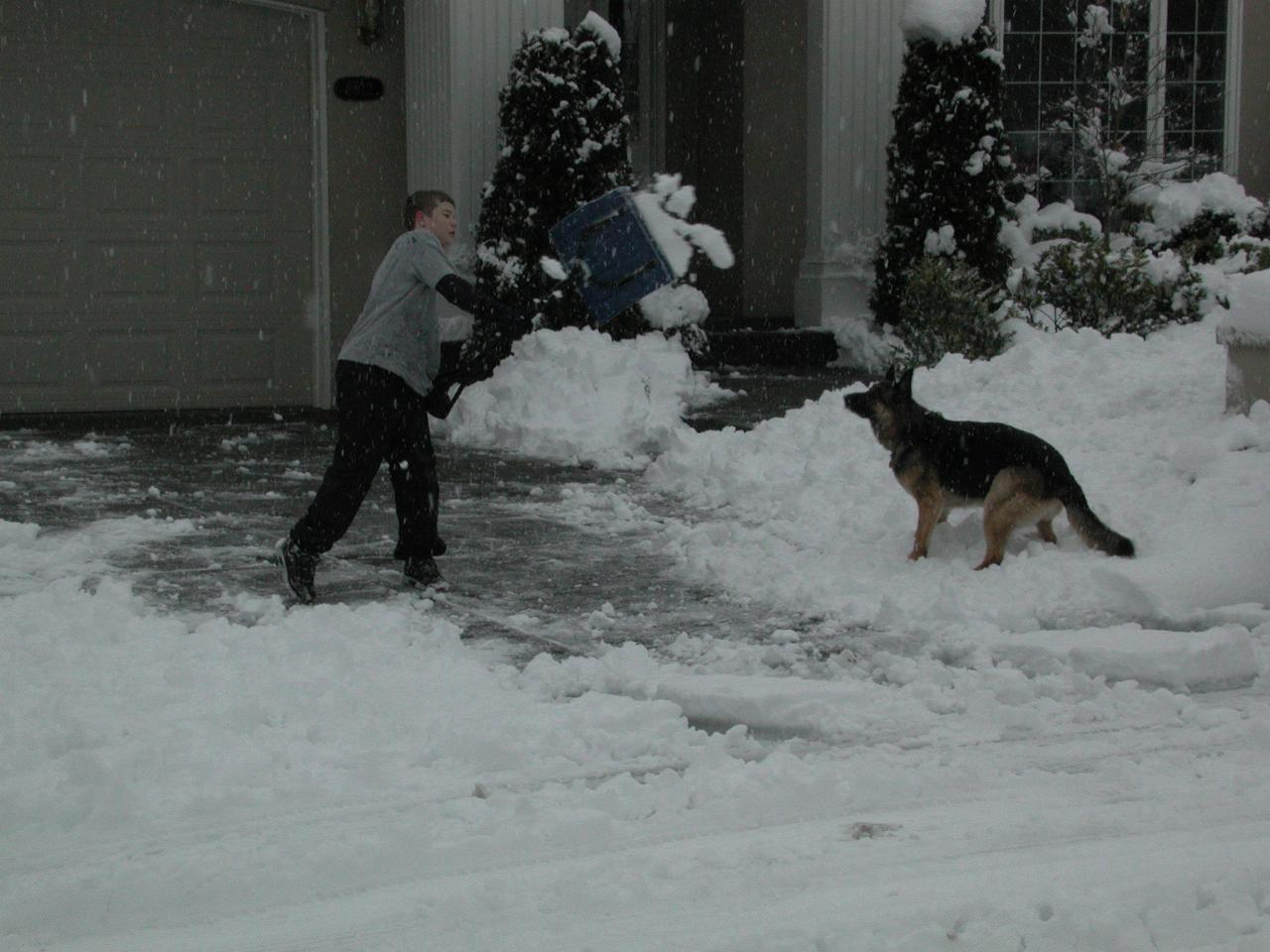 Jimmy White (and Sage the dog) clearing the driveway