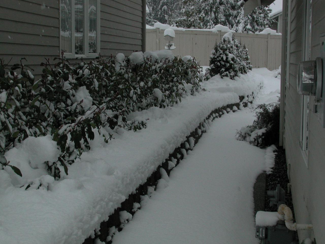 Side lane with Deal's home on left.