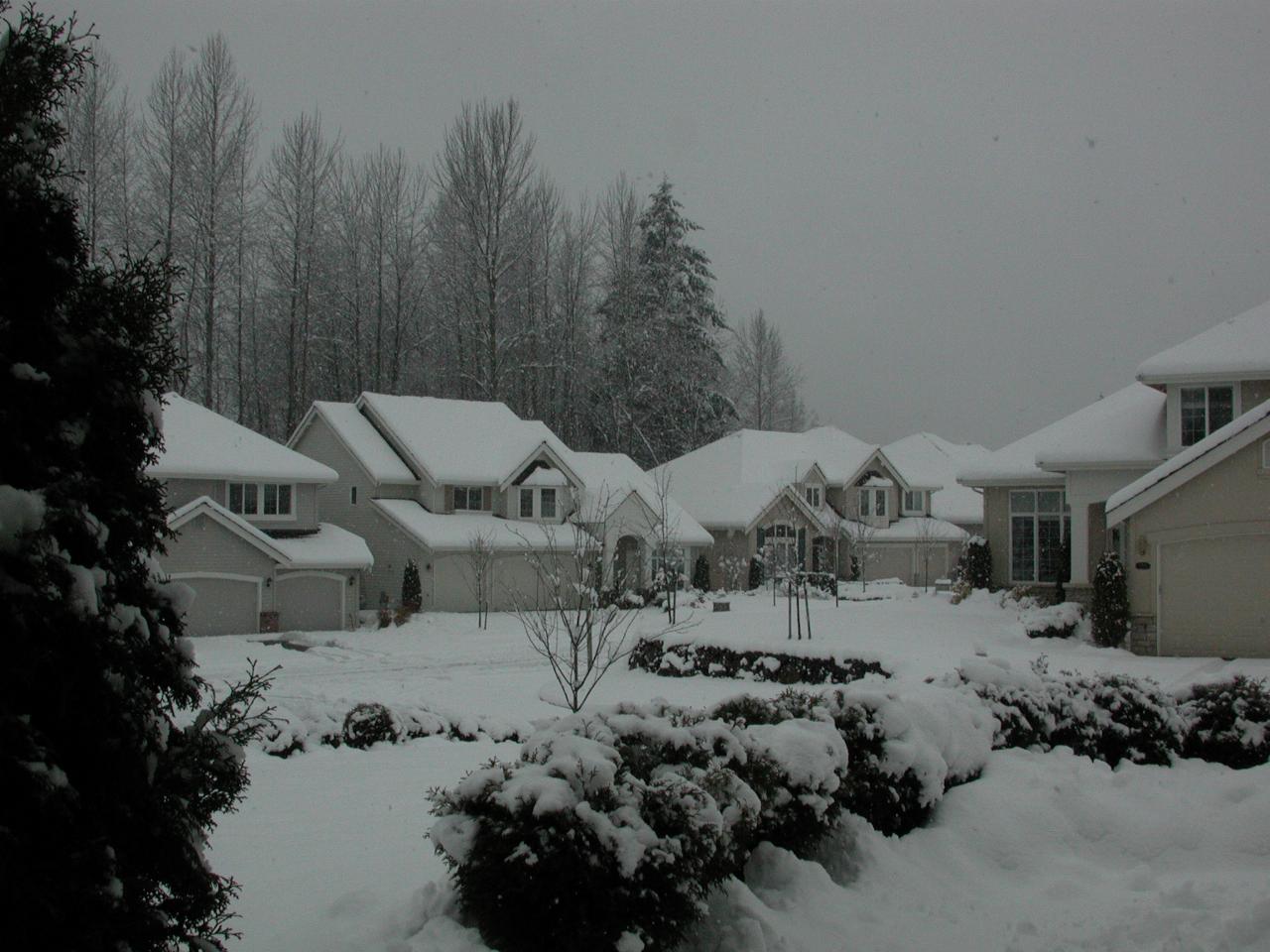 View from front door, looking north west