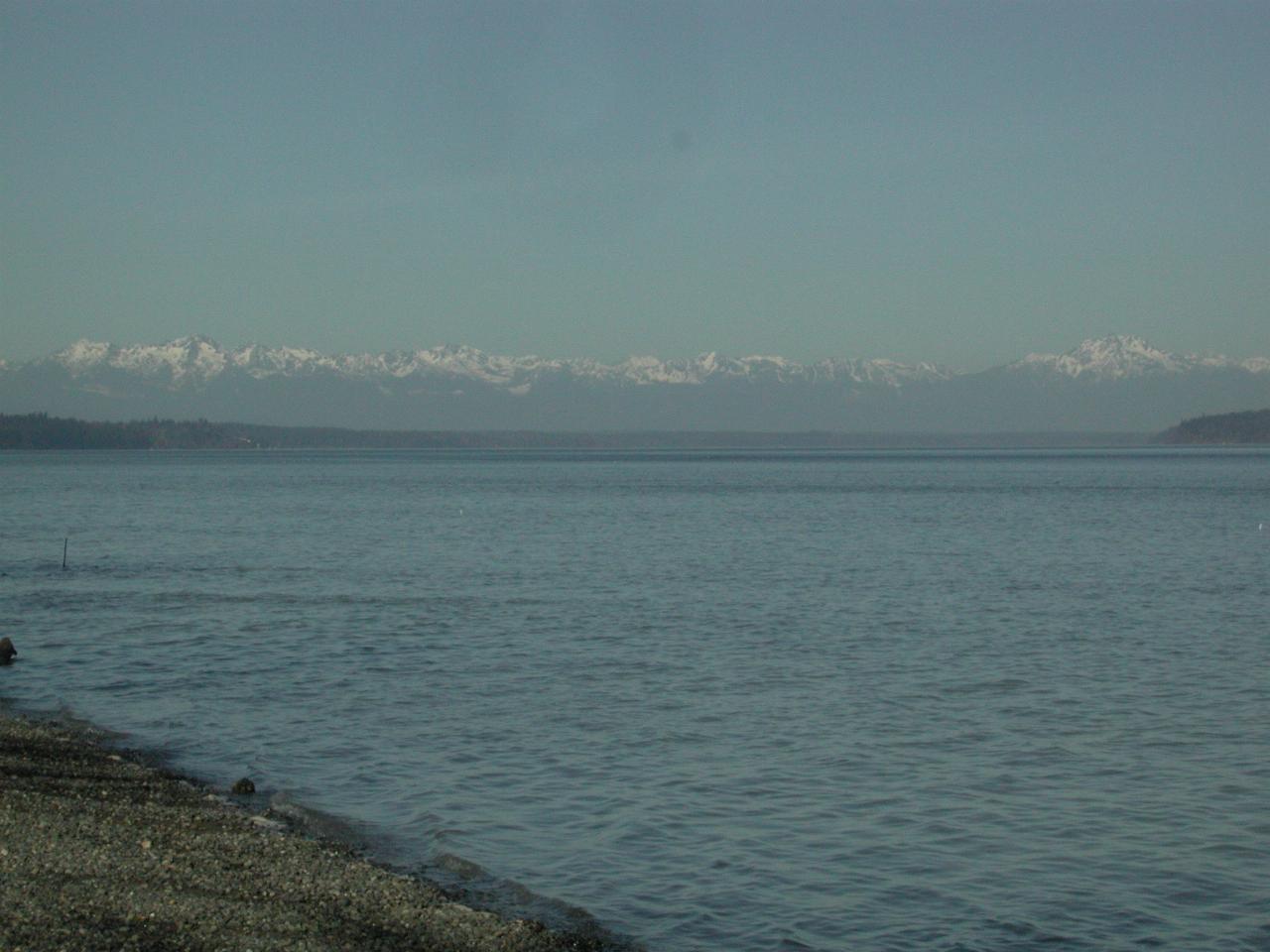 Olympic Mountains from Luhr Beach, Nisqually Delta