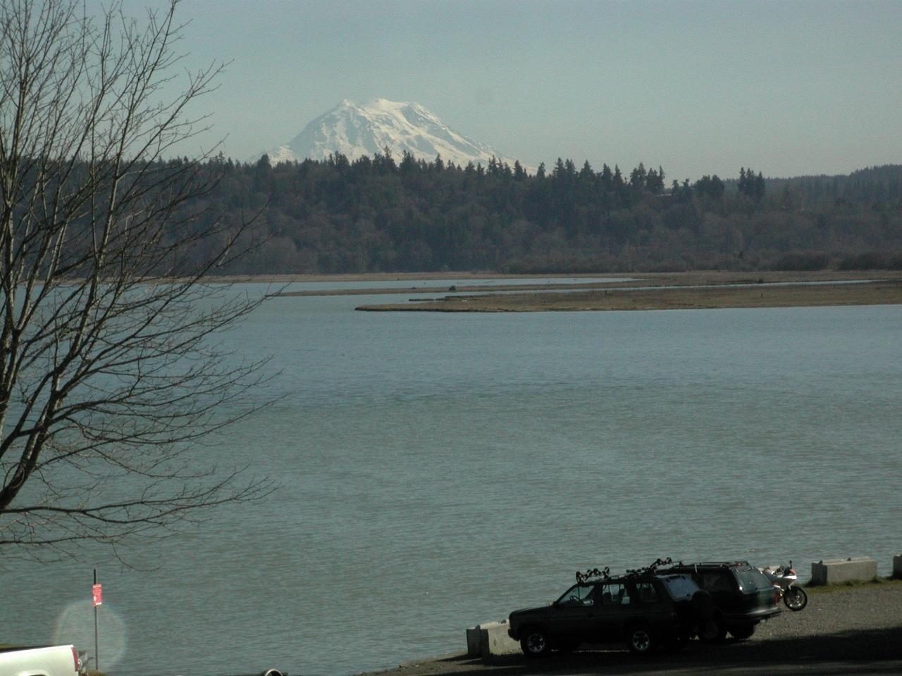 Mt. Rainier from Luhr Beach, Nisqually Delta