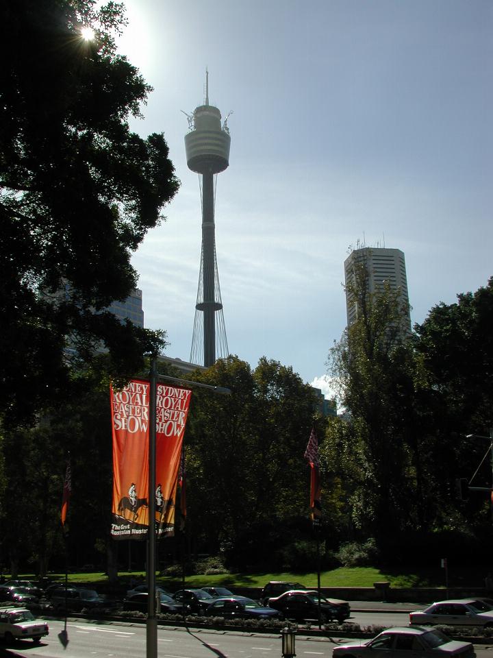 Sydney Tower, viewed from Park Street/Hyde Park