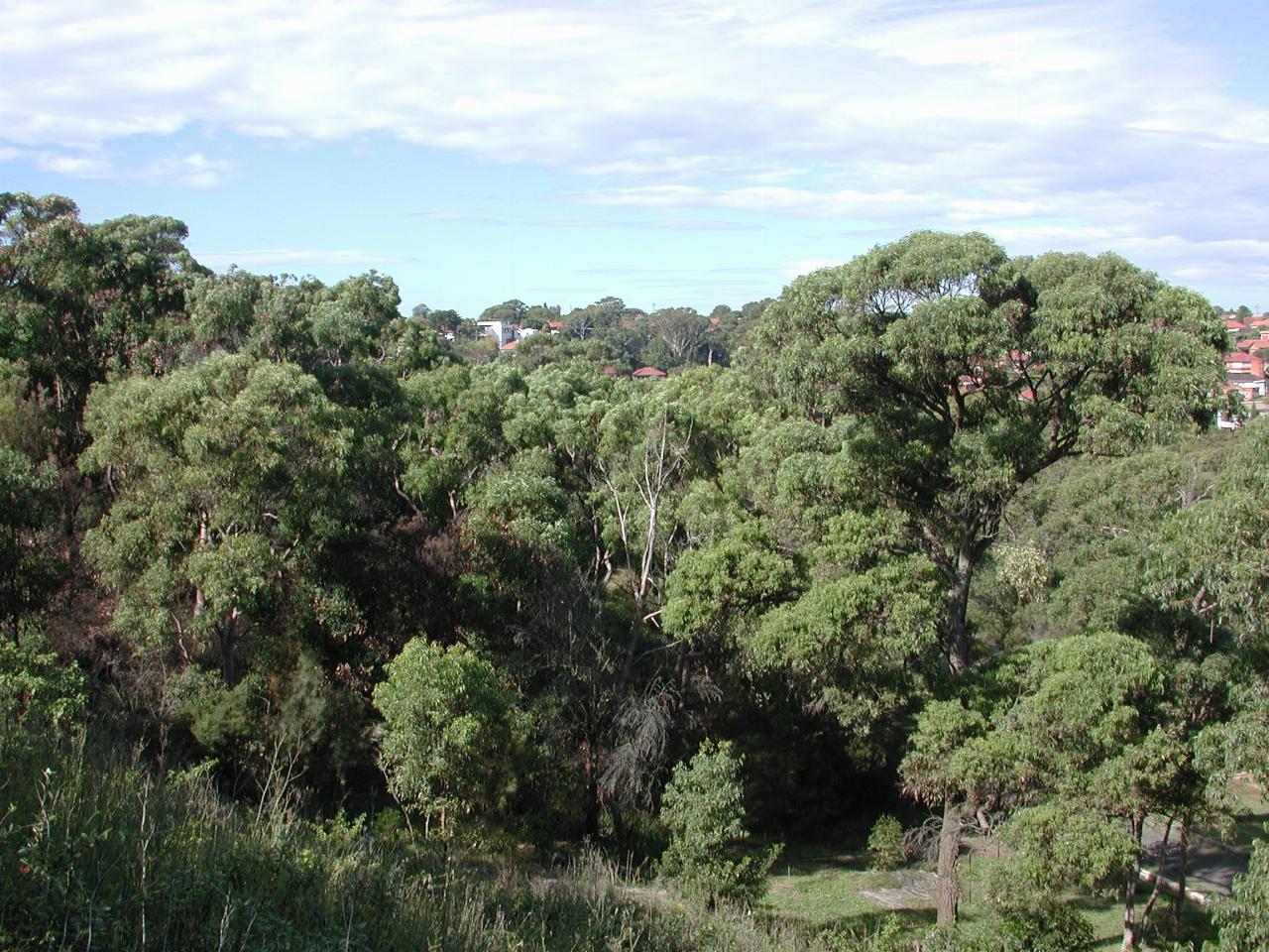 Looking north east from OLOL school grounds