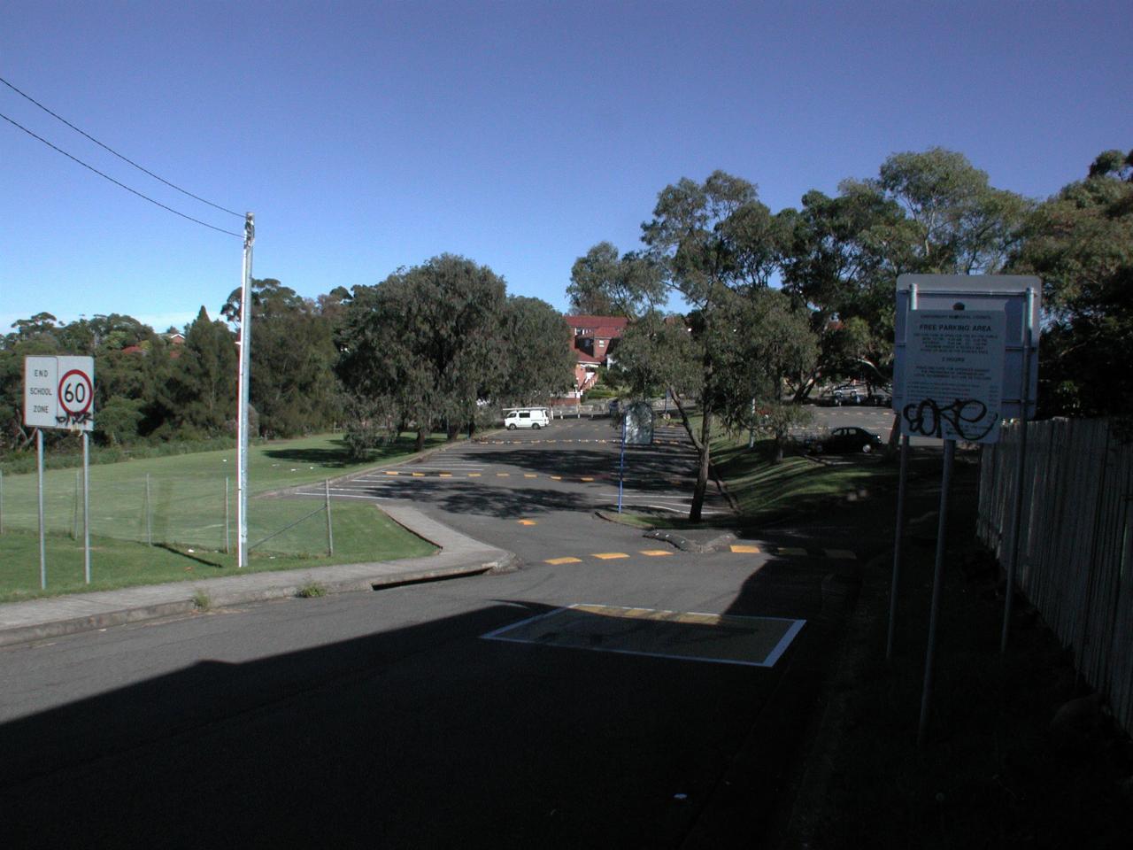 Earlwood parking lot - look at those trees!