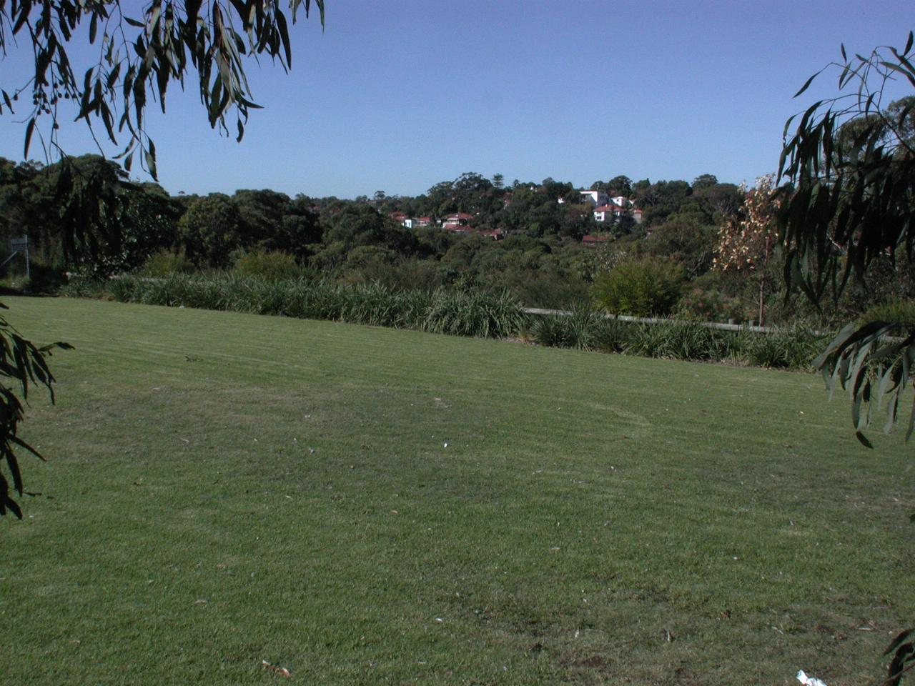 Looking east from Earlwood Car Park