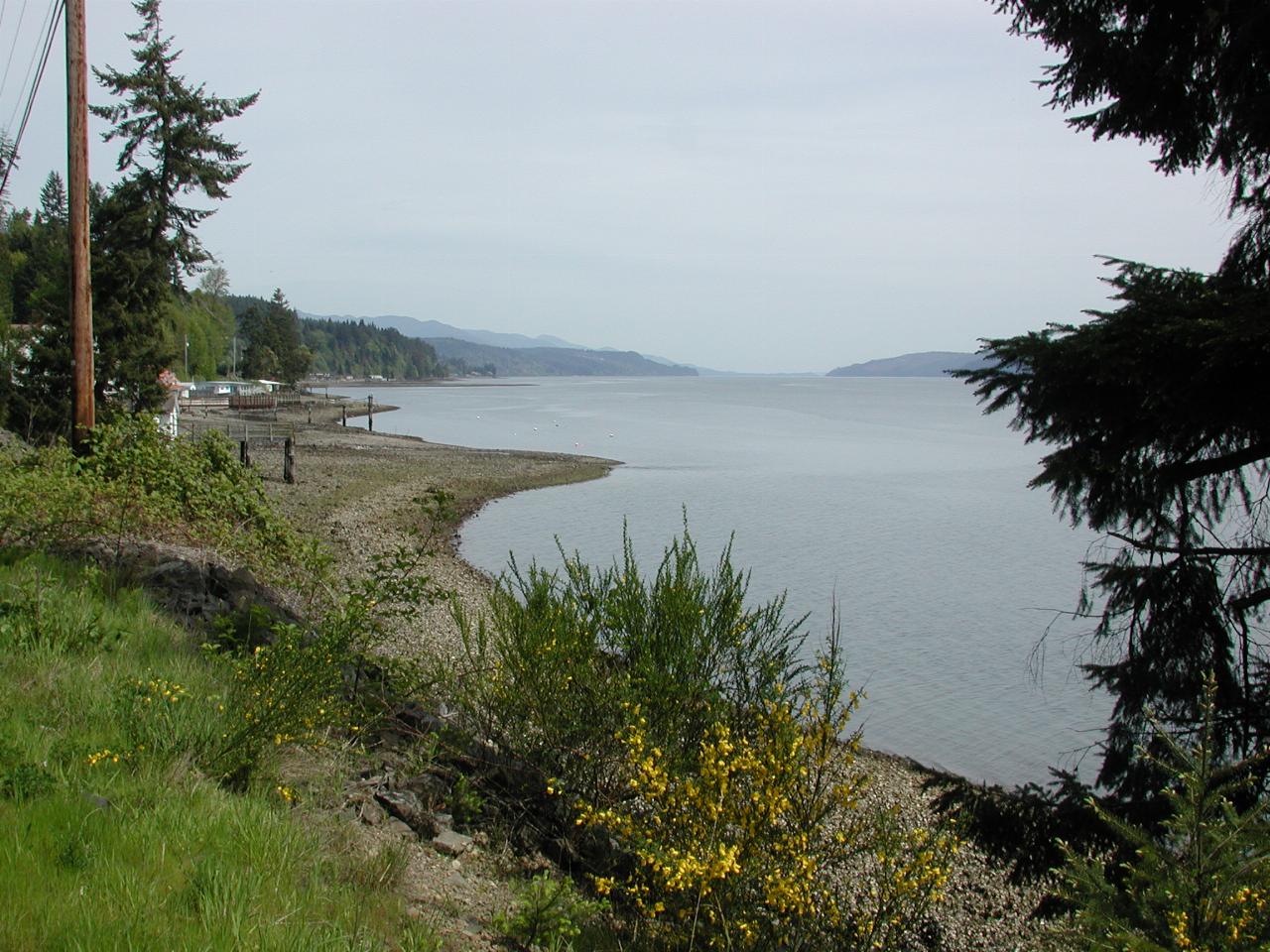 Hood Canal, looking north near Hoodsport