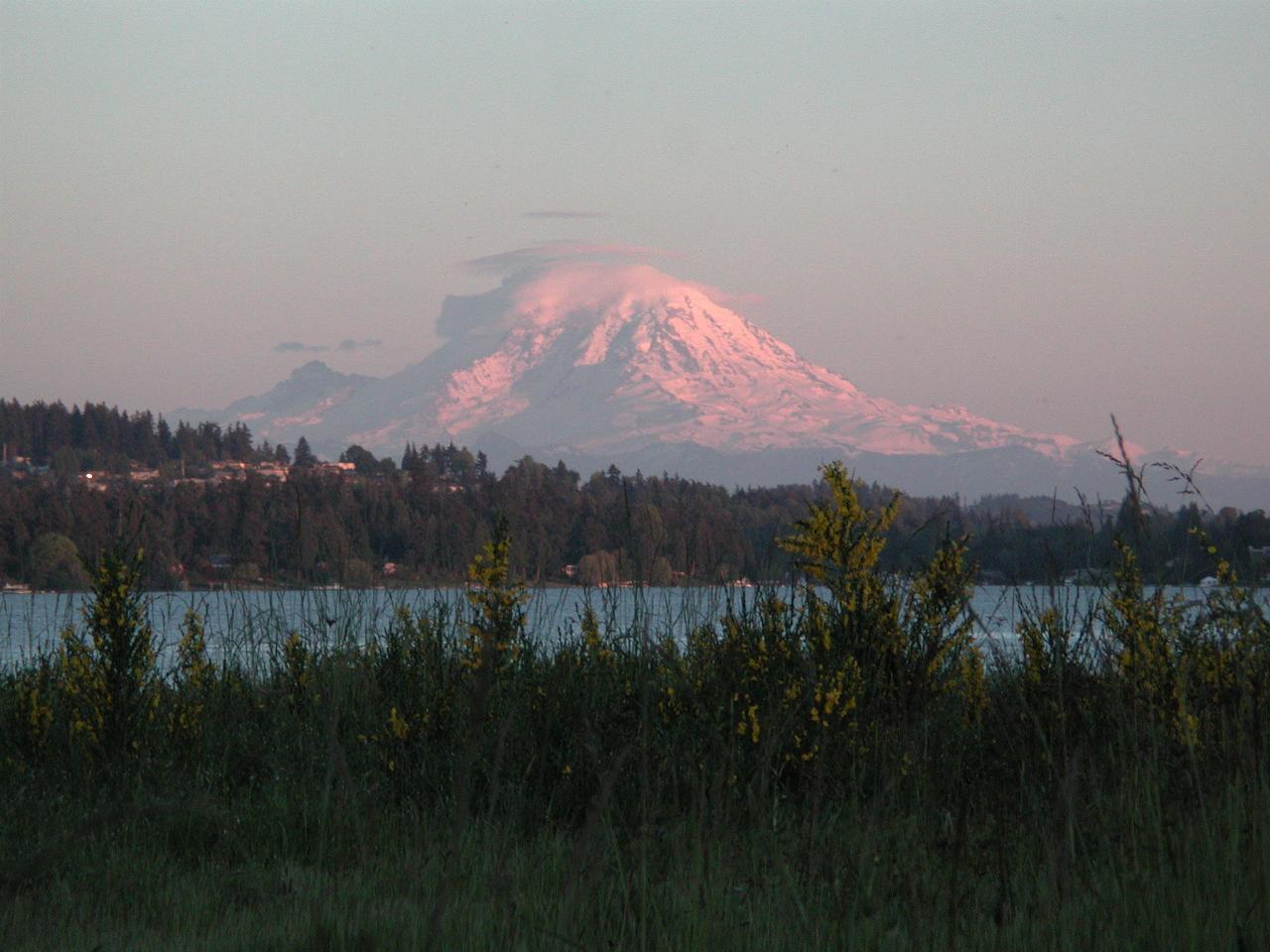 Sunset on Mt. Rainier, viewed from Magnusson Park, Seattle