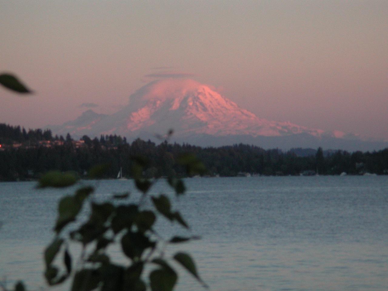 Sunset on Mt. Rainier, viewed from Magnusson Park, Seattle