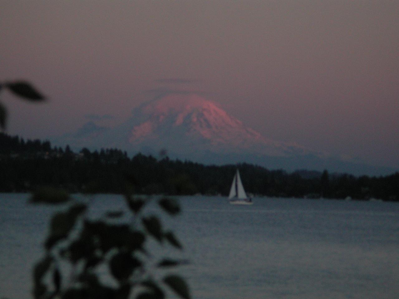 Sunset on Mt. Rainier, viewed from Magnusson Park, Seattle