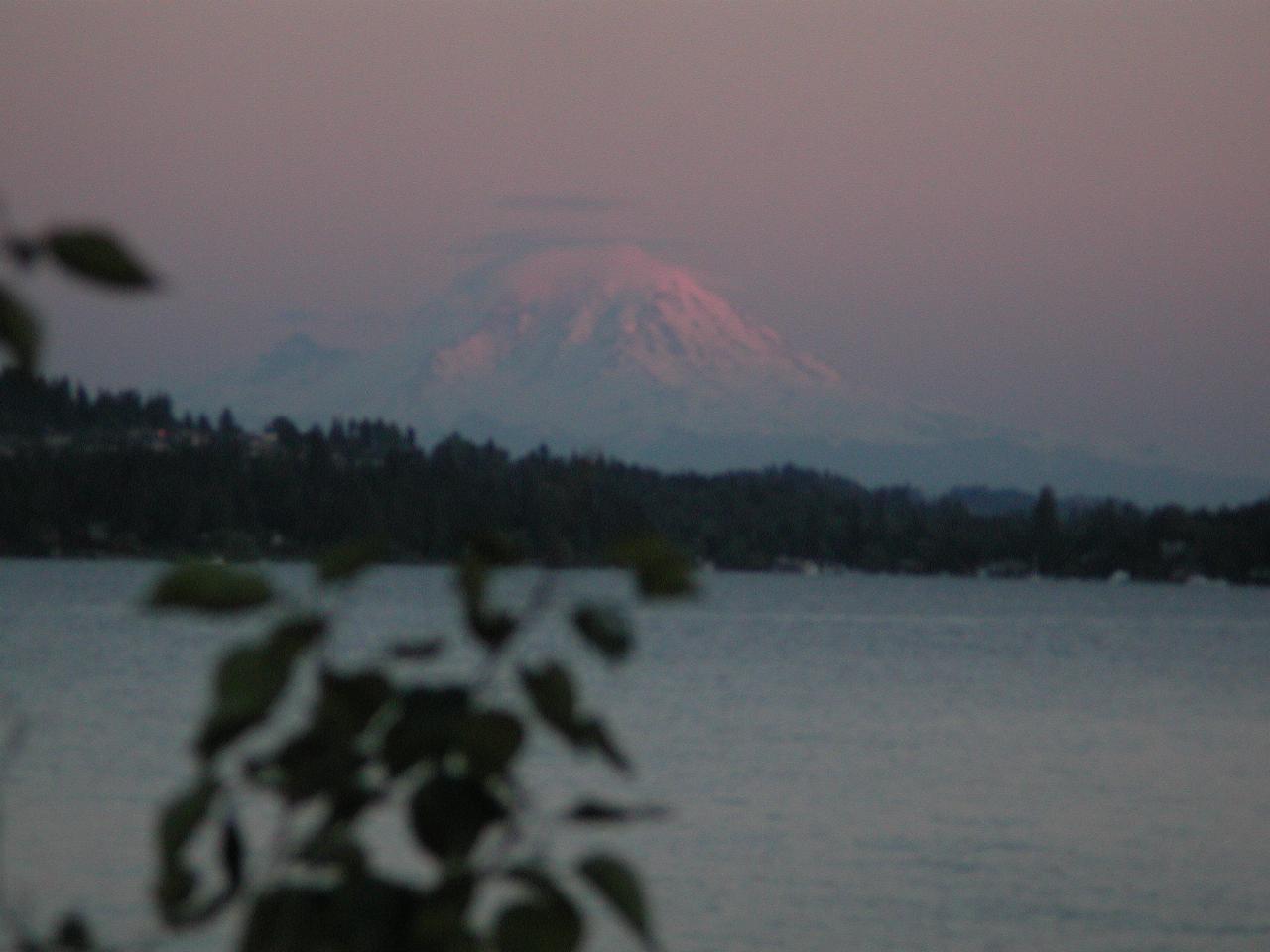 Sunset on Mt. Rainier, viewed from Magnusson Park, Seattle