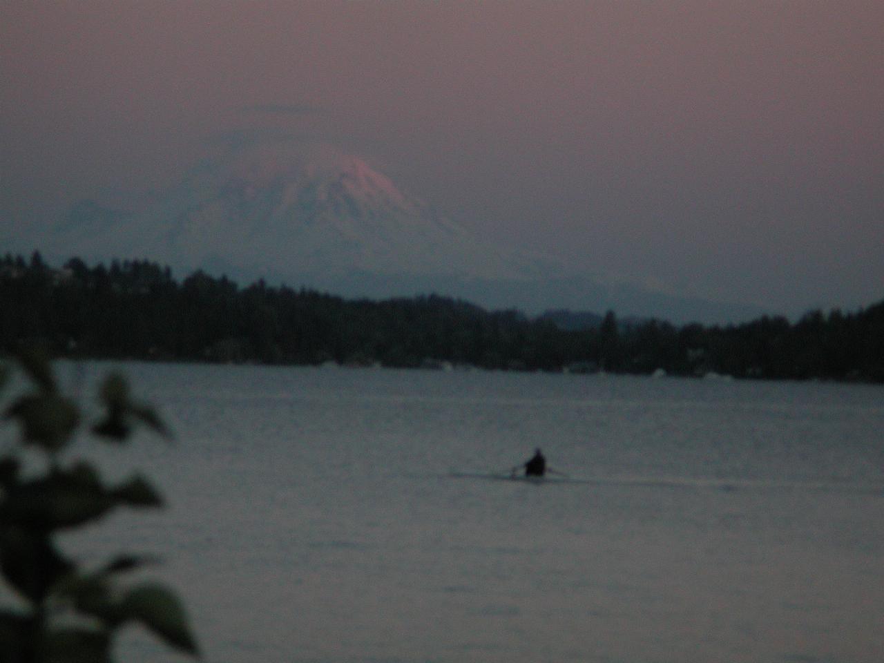 Sunset on Mt. Rainier, viewed from Magnusson Park, Seattle