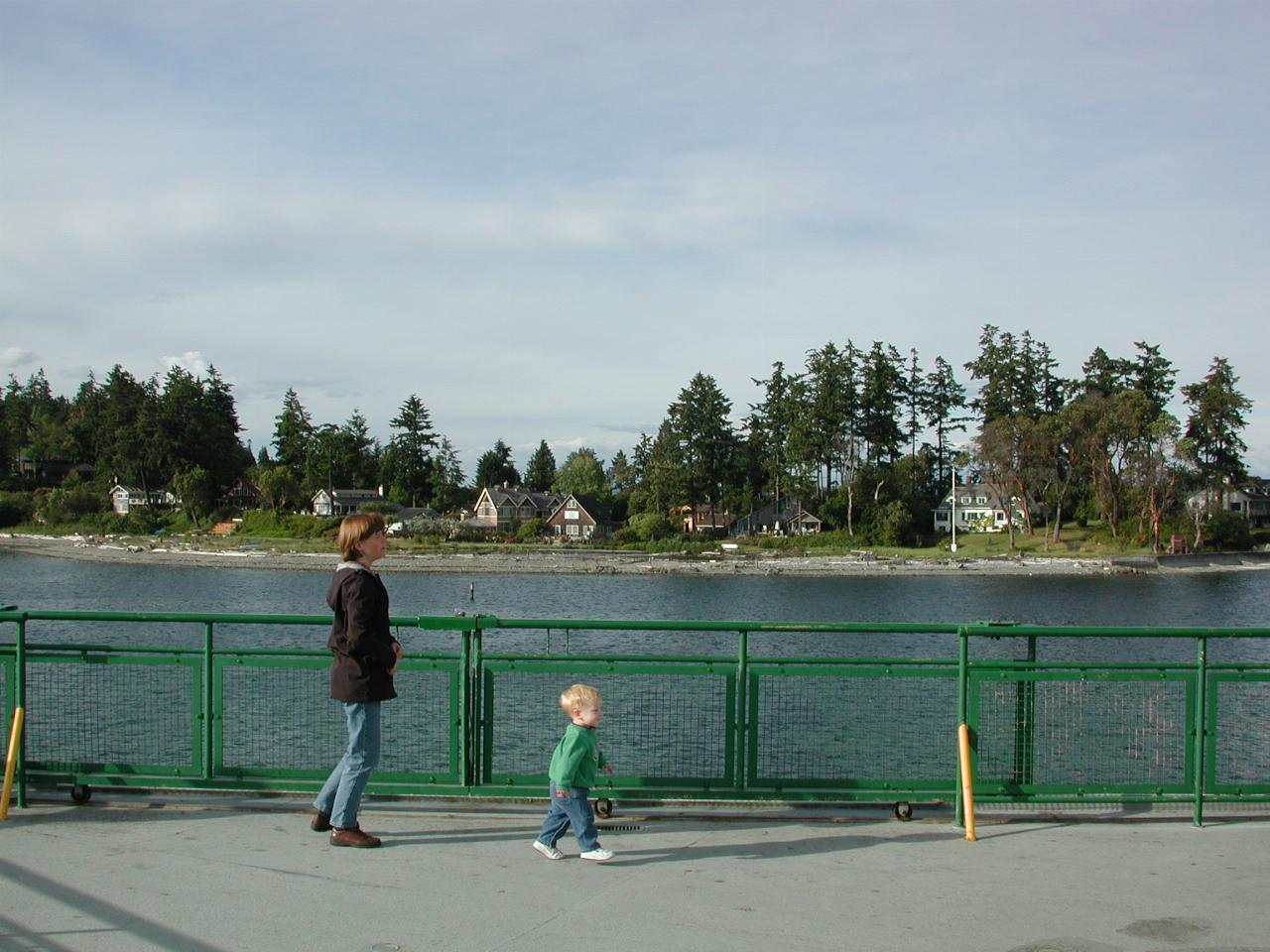 Homes on the way out of Winslow Harbour, Bainbridge Island